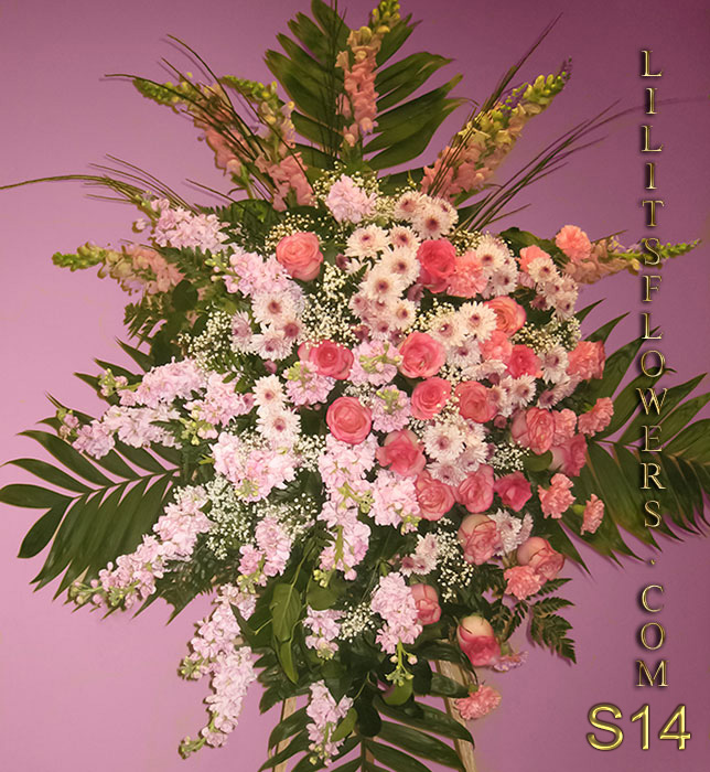 stunning flowers